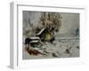 Watercolor 41302-Pol Ledent-Framed Art Print