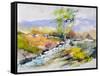 Watercolor 41320-Pol Ledent-Framed Stretched Canvas