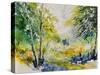 Watercolor 414061-Pol Ledent-Stretched Canvas