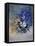 Watercolor 415081-Pol Ledent-Framed Stretched Canvas