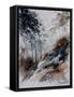 Watercolor 452786-Pol Ledent-Framed Stretched Canvas