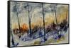 Watercolor 45412022-Pol Ledent-Framed Stretched Canvas