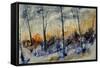 Watercolor 45412022-Pol Ledent-Framed Stretched Canvas