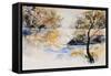 Watercolor 45417042-Pol Ledent-Framed Stretched Canvas