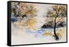 Watercolor 45417042-Pol Ledent-Framed Stretched Canvas