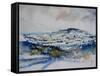 Watercolor 512010-Pol Ledent-Framed Stretched Canvas