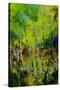 Watercolor 514031-Pol Ledent-Stretched Canvas