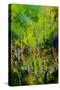 Watercolor 514031-Pol Ledent-Stretched Canvas