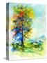 Watercolor 515042-Pol Ledent-Stretched Canvas