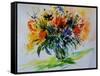 Watercolor 515052-Pol Ledent-Framed Stretched Canvas