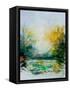 Watercolor 905082-Pol Ledent-Framed Stretched Canvas