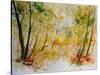 Watercolor 908012-Pol Ledent-Stretched Canvas