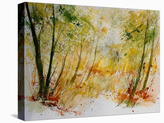 Watercolor 908012-Pol Ledent-Stretched Canvas