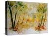 Watercolor 908012-Pol Ledent-Stretched Canvas