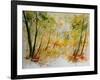 Watercolor 908012-Pol Ledent-Framed Art Print