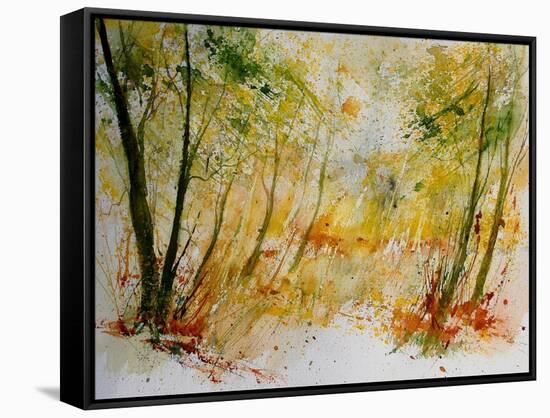 Watercolor 908012-Pol Ledent-Framed Stretched Canvas