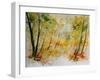 Watercolor 908012-Pol Ledent-Framed Art Print