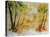 Watercolor 908012-Pol Ledent-Stretched Canvas