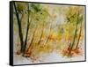 Watercolor 908012-Pol Ledent-Framed Stretched Canvas