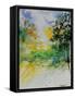 Watercolor 908051-Pol Ledent-Framed Stretched Canvas