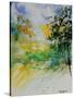 Watercolor 908051-Pol Ledent-Stretched Canvas