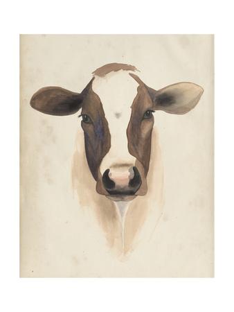 'Watercolor Animal Study VII' Print - Grace Popp | AllPosters.com