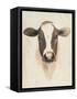Watercolor Animal Study VII-Grace Popp-Framed Stretched Canvas