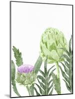 Watercolor Artichoke 1-Ann Bailey-Mounted Art Print