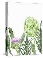 Watercolor Artichoke 1-Ann Bailey-Stretched Canvas