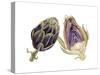 Watercolor Artichoke-Michael Willett-Stretched Canvas