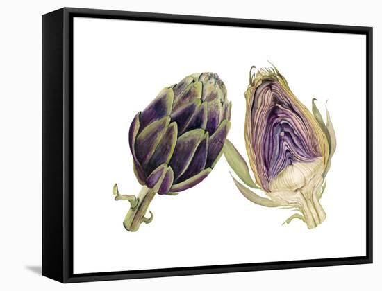 Watercolor Artichoke-Michael Willett-Framed Stretched Canvas