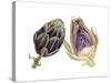 Watercolor Artichoke-Michael Willett-Stretched Canvas