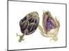 Watercolor Artichoke-Michael Willett-Mounted Art Print