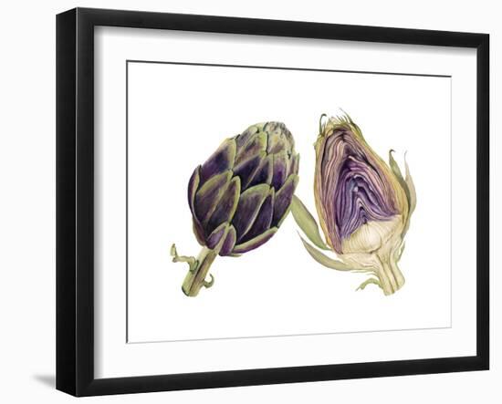 Watercolor Artichoke-Michael Willett-Framed Art Print