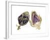 Watercolor Artichoke-Michael Willett-Framed Art Print