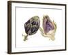 Watercolor Artichoke-Michael Willett-Framed Art Print