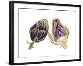 Watercolor Artichoke-Michael Willett-Framed Art Print