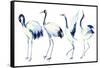 Watercolor Asian Crane Bird Set-tanycya-Framed Stretched Canvas