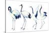 Watercolor Asian Crane Bird Set-tanycya-Stretched Canvas