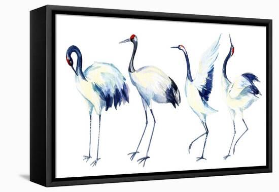 Watercolor Asian Crane Bird Set-tanycya-Framed Stretched Canvas