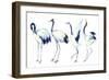 Watercolor Asian Crane Bird Set-tanycya-Framed Art Print