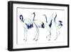 Watercolor Asian Crane Bird Set-tanycya-Framed Art Print