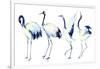 Watercolor Asian Crane Bird Set-tanycya-Framed Art Print