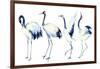 Watercolor Asian Crane Bird Set-tanycya-Framed Art Print
