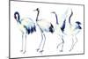 Watercolor Asian Crane Bird Set-tanycya-Mounted Premium Giclee Print