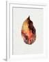 Watercolor Autumn Leaf I-Jennifer Parker-Framed Art Print