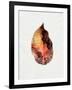 Watercolor Autumn Leaf I-Jennifer Parker-Framed Art Print