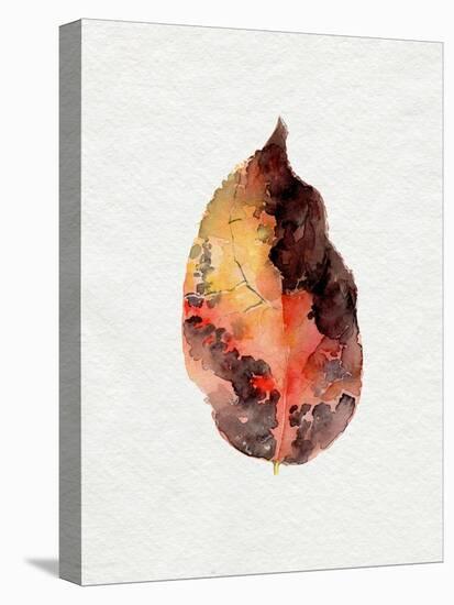 Watercolor Autumn Leaf I-Jennifer Parker-Stretched Canvas