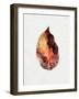 Watercolor Autumn Leaf I-Jennifer Parker-Framed Art Print