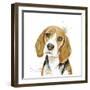 Watercolor Beagle-Patricia Pinto-Framed Art Print